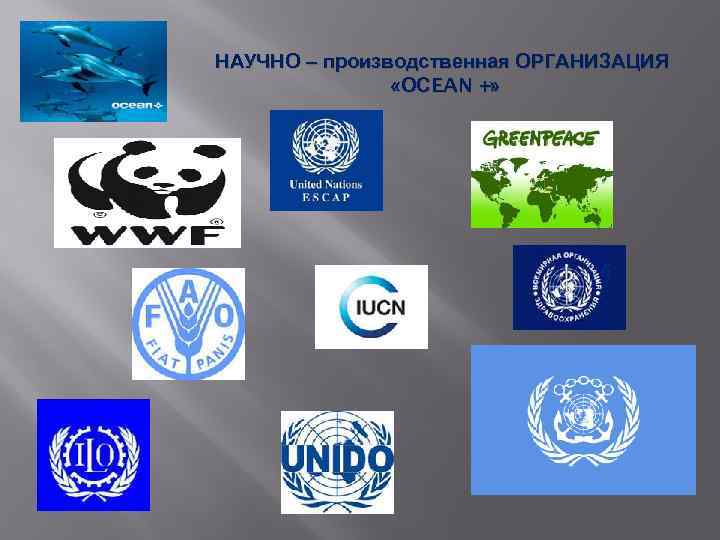 НАУЧНО – производственная ОРГАНИЗАЦИЯ «OСEAN +» 