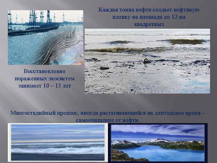 Каждая тонна нефти создает нефтяную пленку на площади до 12 км квадратных Восстановление пораженных