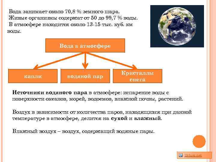 Вода занимает около 70, 8 % земного шара. Живые организмы содержат от 50 до