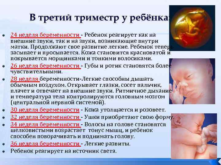 В третий триместр у ребёнка: 24 неделя беременности - Ребенок реагирует как на внешние