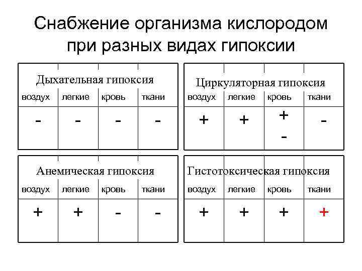 Снабжение организма кислородом при разных видах гипоксии Дыхательная гипоксия воздух легкие кровь Циркуляторная гипоксия