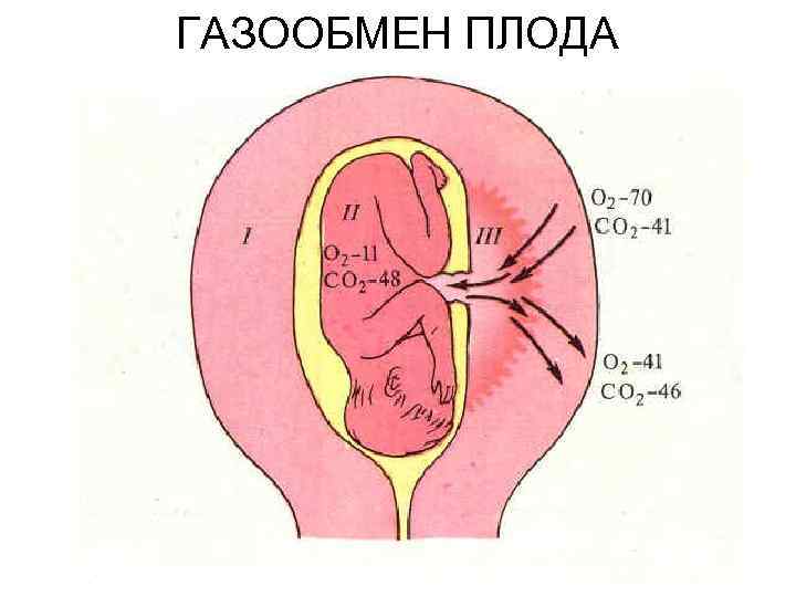 Схема первого вдоха новорожденного