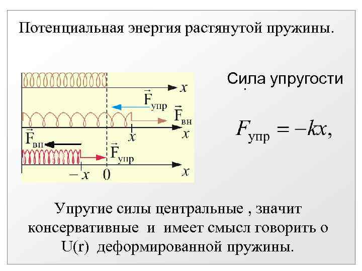 Потенциальная энергия растянутой пружины. Сила упругости. Упругие силы центральные , значит консервативные и имеет