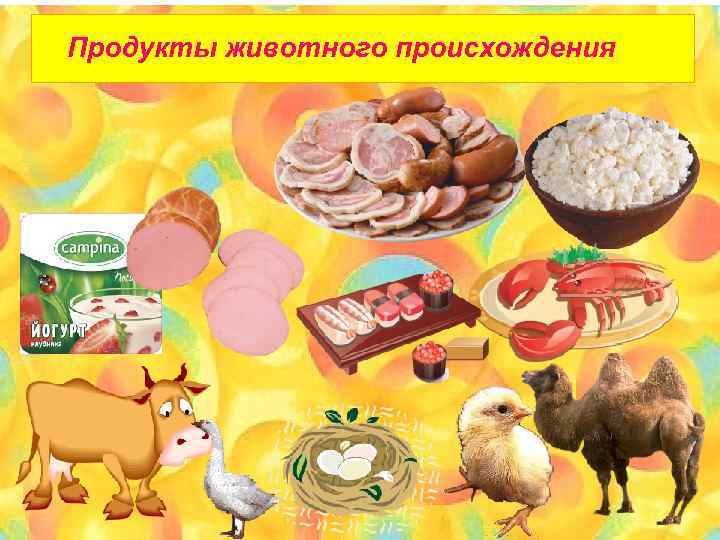 Продукты животного происхождения 