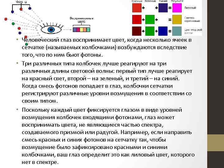  • Человеческий глаз воспринимает цвет, когда несколько ячеек в сетчатке (называемых колбочками) возбуждаются