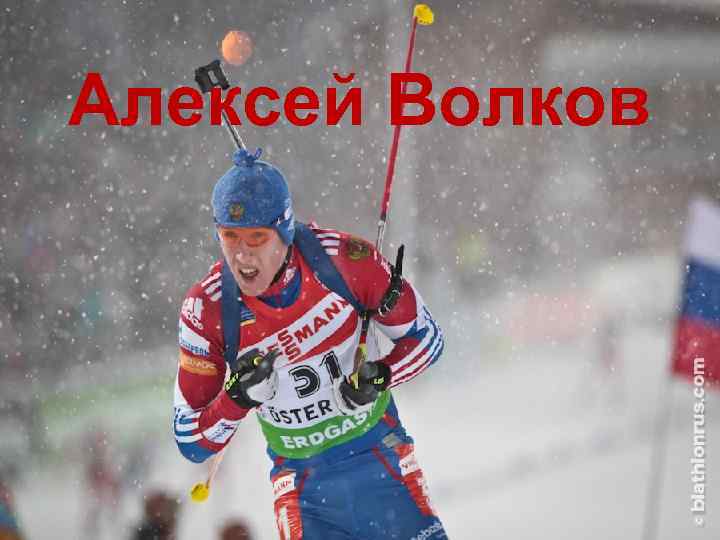 Алексей Волков 