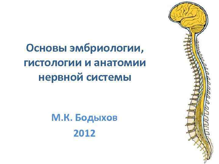 Основы эмбриологии, гистологии и анатомии нервной системы М. К. Бодыхов 2012 
