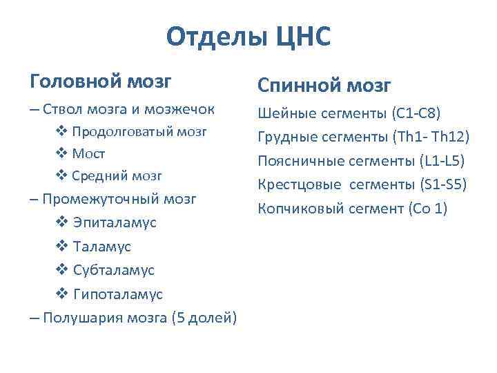 Отделы ЦНС Головной мозг Спинной мозг – Ствол мозга и мозжечок Шейные сегменты (С