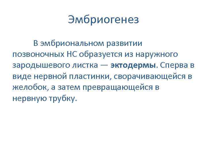 Эмбриогенез В эмбриональном развитии позвоночных НС образуется из наружного зародышевого листка — эктодермы. Сперва