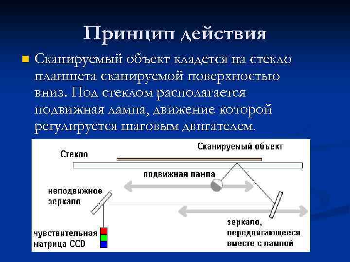 Принцип действия n Сканируемый объект кладется на стекло планшета сканируемой поверхностью вниз. Под стеклом