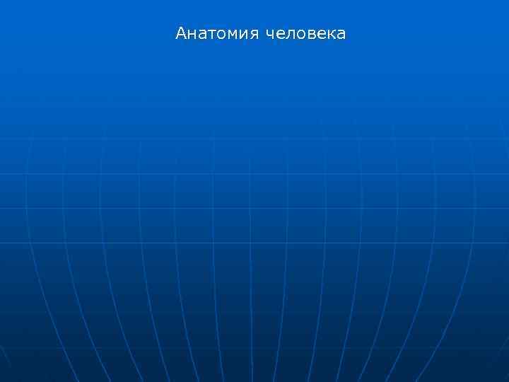 Анатомия человека 