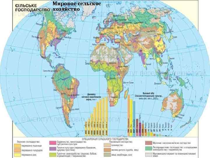 Мировое сельское хозяйство 