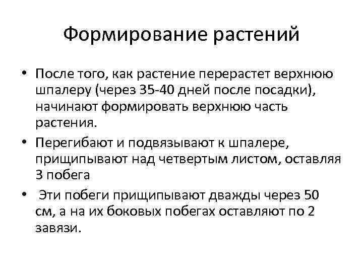 Формирование растений • После того, как растение перерастет верхнюю шпалеру (через 35 -40 дней