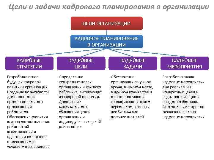 План развития персонала в организации пример