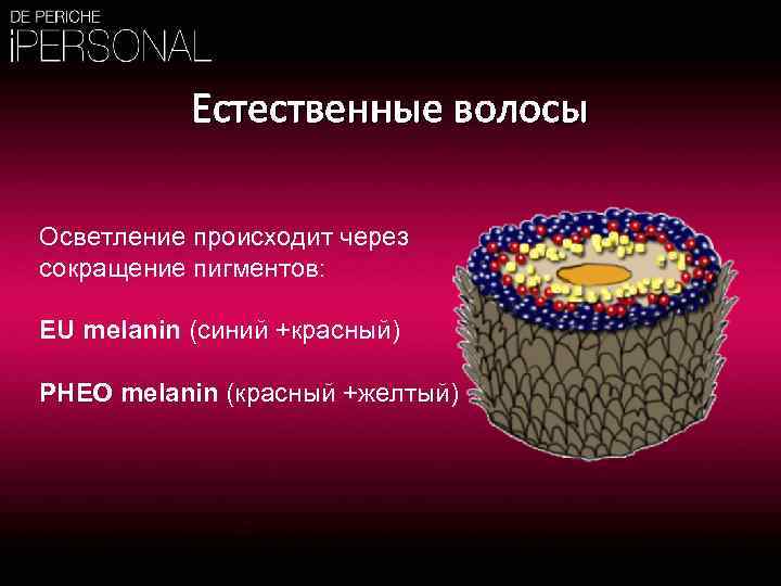 Естественные волосы Осветление происходит через сокращение пигментов: EU melanin (синий +красный) PHEO melanin (красный
