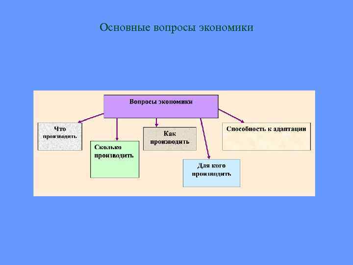 Основные вопросы экономики 