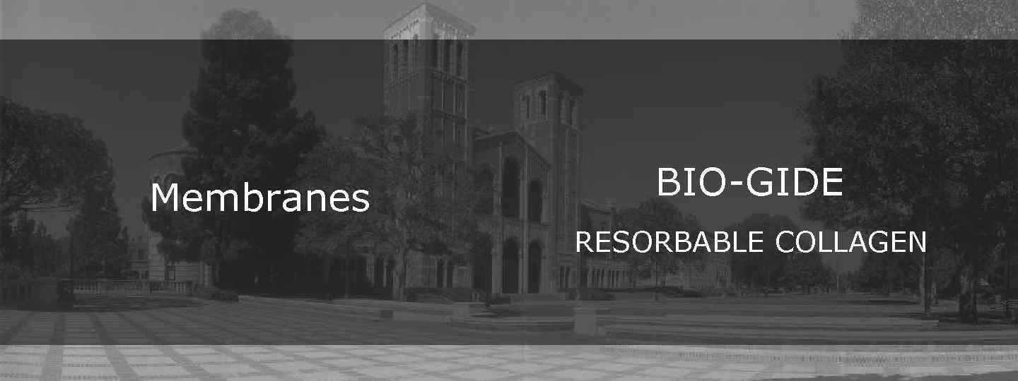 Membranes BIO-GIDE RESORBABLE COLLAGEN 