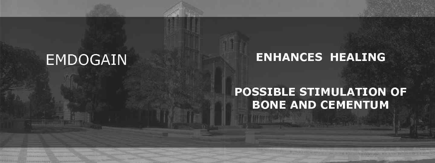 EMDOGAIN ENHANCES HEALING POSSIBLE STIMULATION OF BONE AND CEMENTUM 