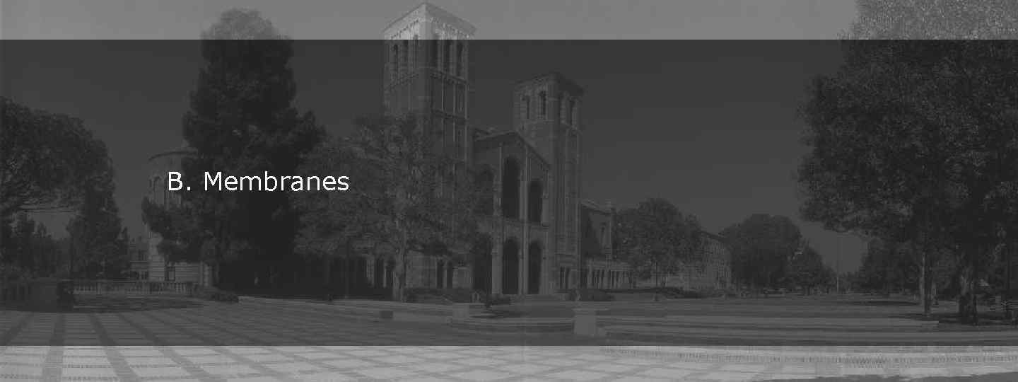 B. Membranes 
