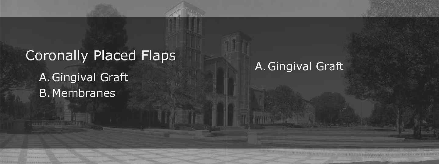 Coronally Placed Flaps A. Gingival Graft B. Membranes A. Gingival Graft 
