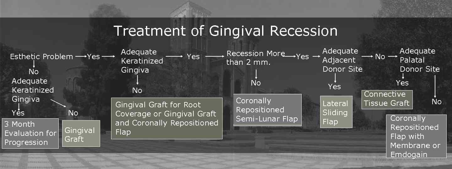 Treatment of Gingival Recession Esthetic Problem Yes No Adequate Keratinized Gingiva Yes 3 Month