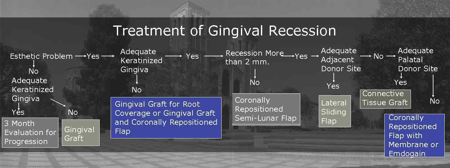 Treatment of Gingival Recession Esthetic Problem Yes No Adequate Keratinized Gingiva Yes 3 Month
