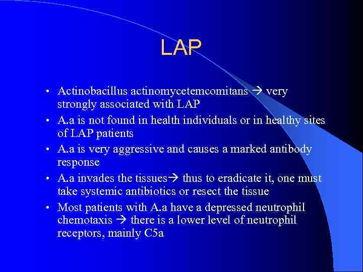 LAP • Actinobacillus actinomycetemcomitans very • • strongly associated with LAP A. a is