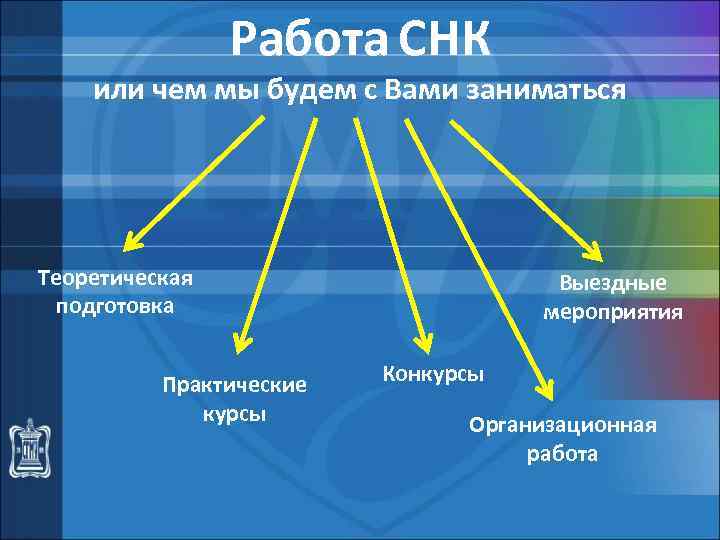 Работа СНК или чем мы будем с Вами заниматься Теоретическая подготовка Практические курсы Выездные