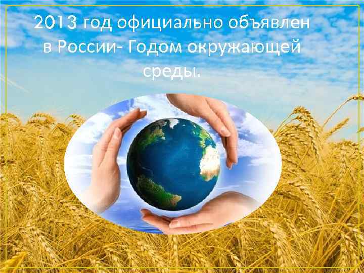 2013 год официально объявлен в России- Годом окружающей среды. 