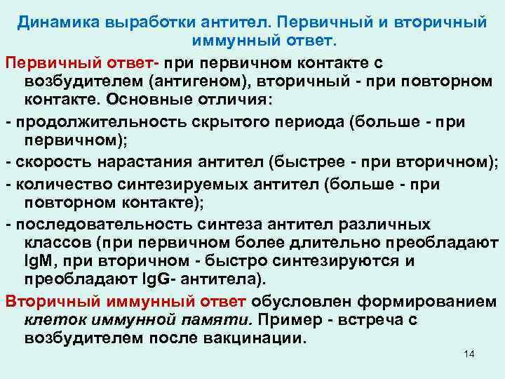 Динамика выработки антител. Первичный и вторичный иммунный ответ. Первичный ответ- при первичном контакте с