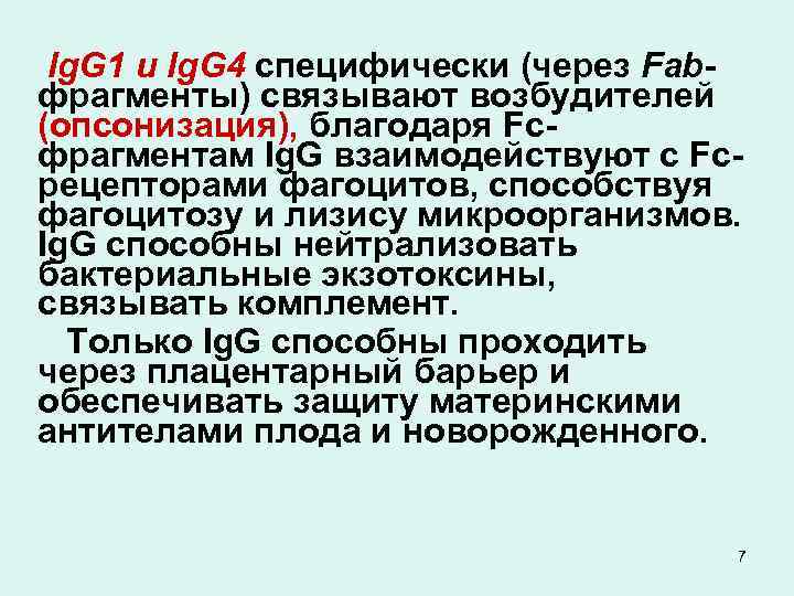 Ig. G 1 и Ig. G 4 специфически (через Fabфрагменты) связывают возбудителей (опсонизация), благодаря