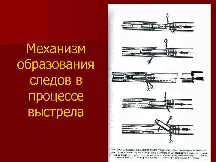 Криминалистическая баллистика презентация