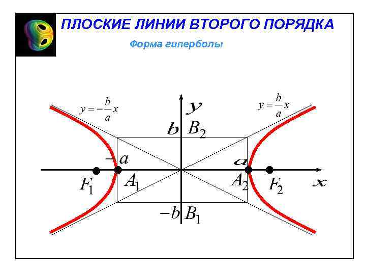 ПЛОСКИЕ ЛИНИИ ВТОРОГО ПОРЯДКА Форма гиперболы 