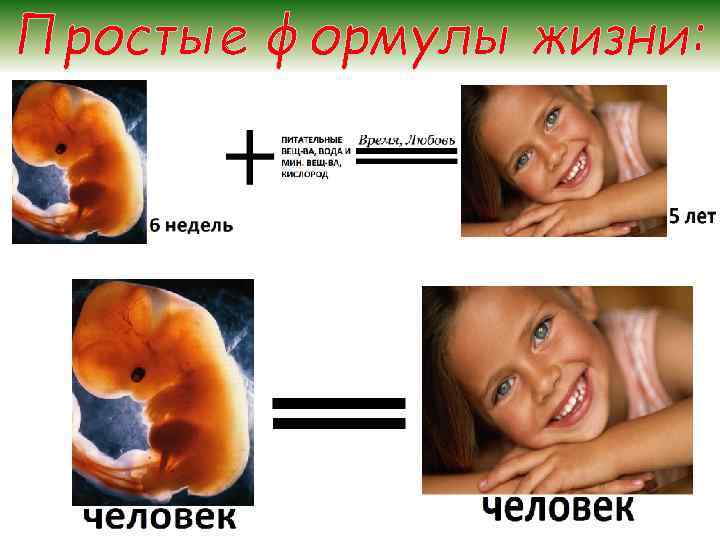 Простые формулы жизни: 