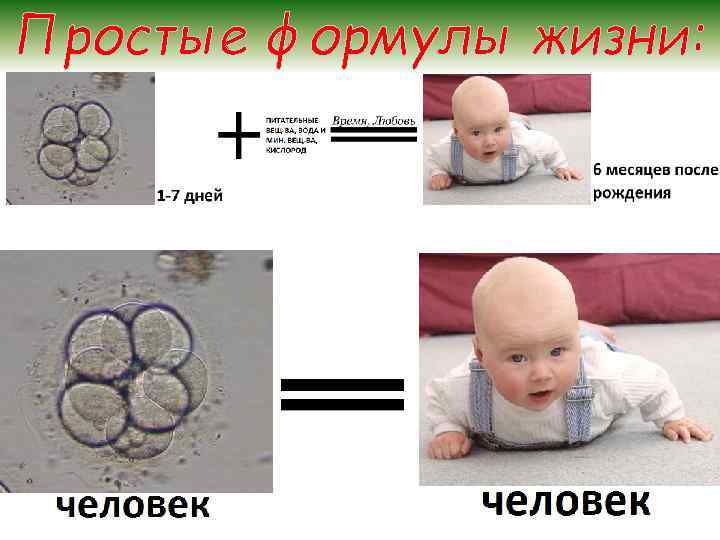 Простые формулы жизни: 