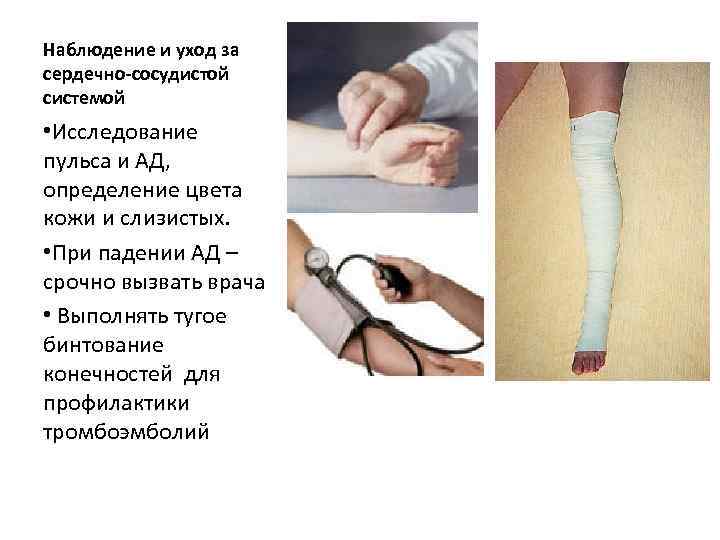 Наблюдение и уход за сердечно-сосудистой системой • Исследование пульса и АД, определение цвета кожи
