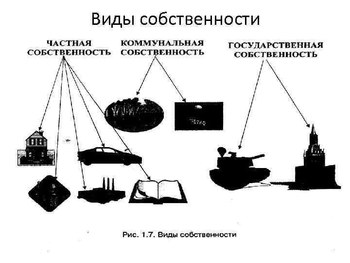 Виды собственности 