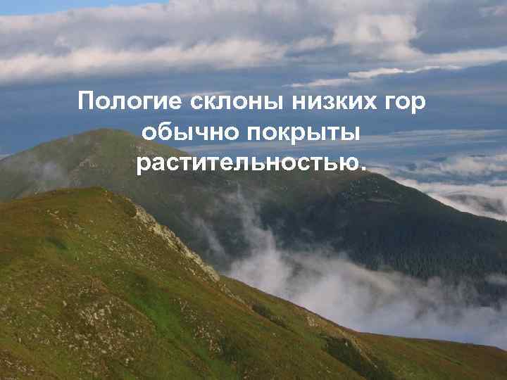 Пологие склоны низких гор обычно покрыты растительностью. 