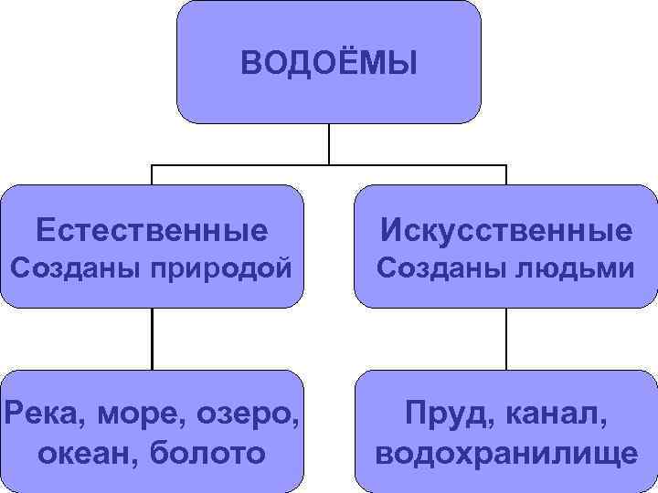 ВОДОЁМЫ Естественные Искусственные Созданы природой Созданы людьми Река, море, озеро, океан, болото Пруд, канал,