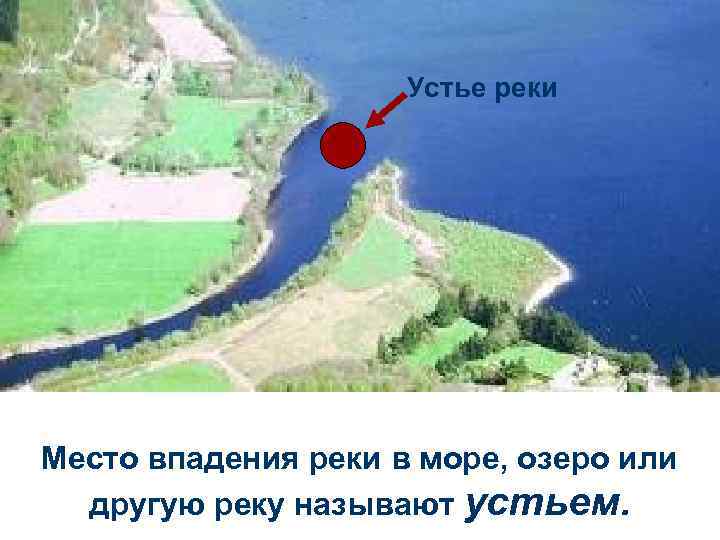 Устье реки Место впадения реки в море, озеро или другую реку называют устьем. 