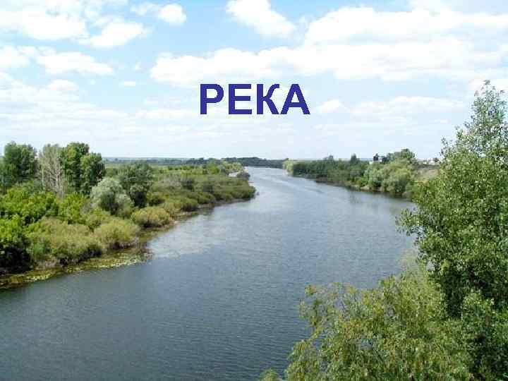 РЕКА 