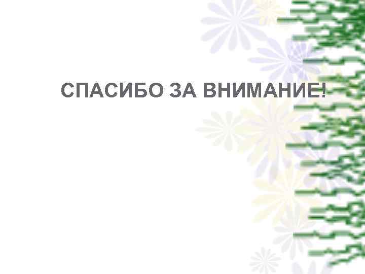 СПАСИБО ЗА ВНИМАНИЕ! 