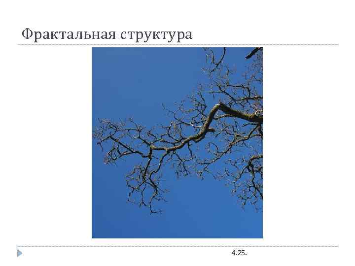 Фрактальная структура 4. 25. 
