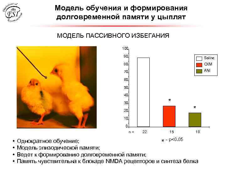 Модель обучения и формирования долговременной памяти у цыплят МОДЕЛЬ ПАССИВНОГО ИЗБЕГАНИЯ 100 90 Saline