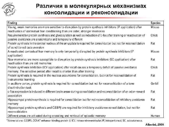 Различия в молекулярных механизмах консолидации и реконсолидации Alberini, 2005 