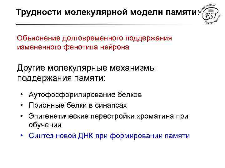 Трудности молекулярной модели памяти: Объяснение долговременного поддержания измененного фенотипа нейрона Другие молекулярные механизмы поддержания