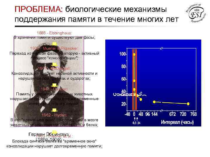 ПРОБЛЕМА: биологические механизмы поддержания памяти в течение многих лет 1885 - Еbbinghaus: В хранении