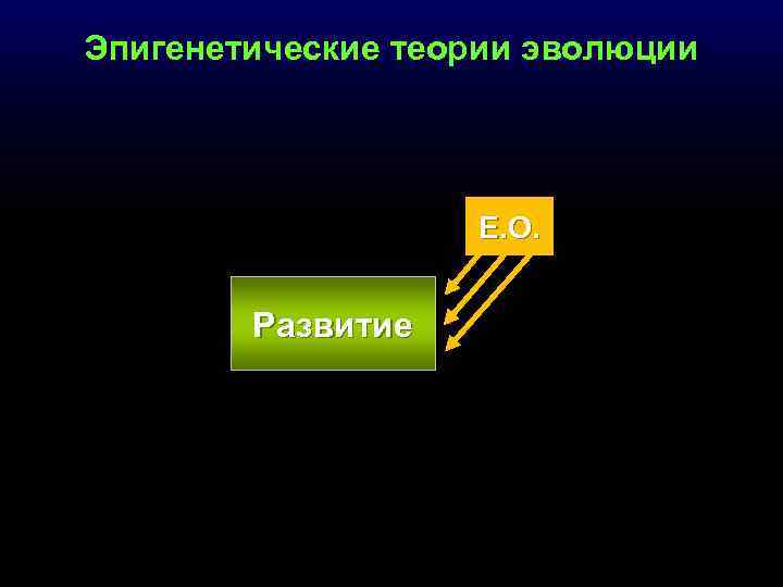 Эпигенетические теории эволюции Е. О. Развитие 