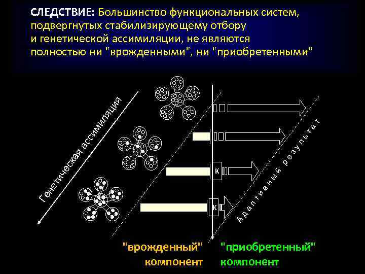 р ск е ая зу л ас с ьт им а т ил я