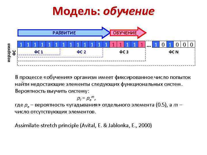 Модель: обучение иерархия ФС РАЗВИТИЕ ОБУЧЕНИЕ 1 1 1 1 1. . . 1